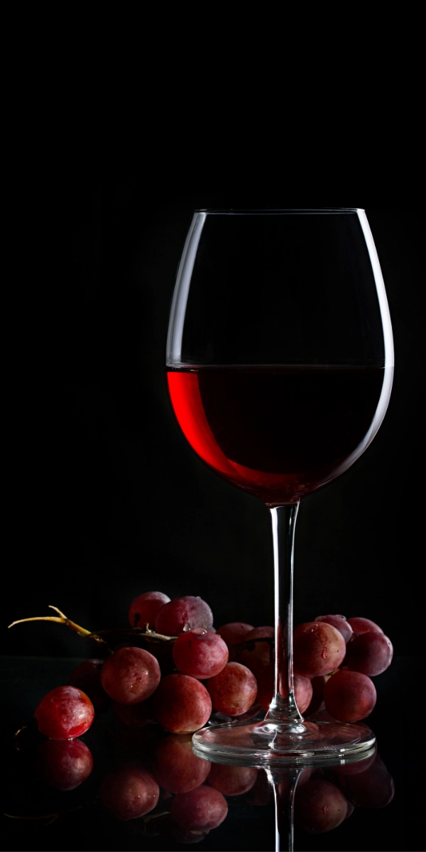 Grandes vinos te esperan en Vino Tuyo